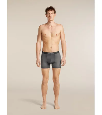 Боксерки Icebreaker Merino 150 Anatomica Boxers Transitions