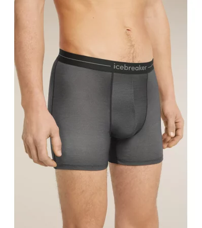 Боксерки Icebreaker Merino 150 Anatomica Boxers Transitions