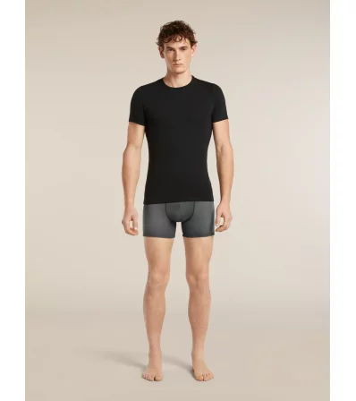 Боксерки Icebreaker Merino 150 Anatomica Boxers Transitions