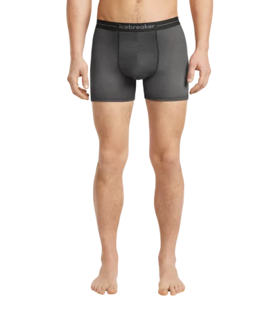 Боксерки Icebreaker Merino 150 Anatomica Boxers Transitions